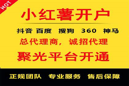 竞价推广公司的策略布局：某行业领导品牌的成功案例